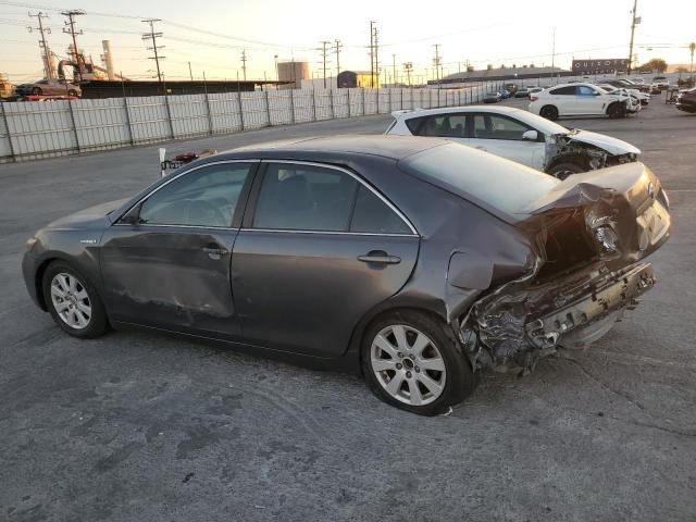 2009 Toyota Camry Hybrid