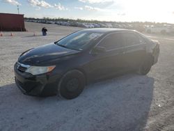 Salvage cars for sale at Arcadia, FL auction: 2013 Toyota Camry L