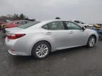 2014 Lexus ES 300H