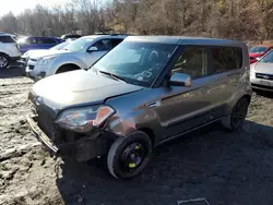 KIA salvage cars for sale: 2010 KIA Soul +