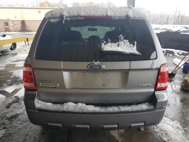 2008 Ford Escape XLT