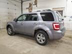 2008 Ford Escape Limited