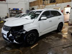 Salvage cars for sale at Ham Lake, MN auction: 2014 KIA Sorento SX