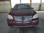 2007 Mercedes-Benz ML 350