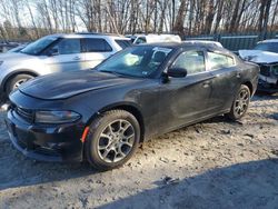 Dodge salvage cars for sale: 2016 Dodge Charger SXT