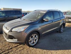 Ford salvage cars for sale: 2014 Ford Escape Titanium