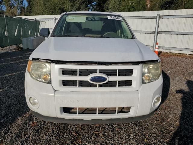 2009 Ford Escape Hybrid