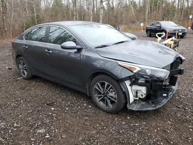 2023 KIA Forte EX