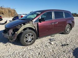 Salvage cars for sale at Taylor, TX auction: 2013 Honda Odyssey EXL