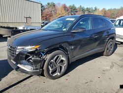 Hyundai salvage cars for sale: 2024 Hyundai Tucson SEL Convenience