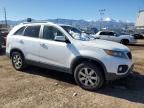 2011 KIA Sorento Base