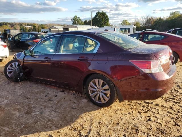 2011 Honda Accord EXL