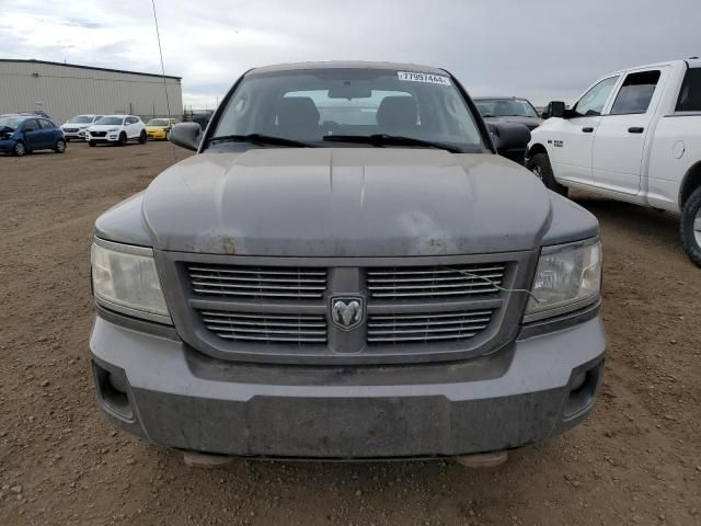 2011 Dodge Dakota SLT