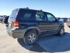 2005 Ford Escape XLT