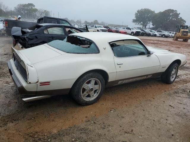 1979 Pontiac Firebird