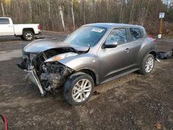 Salvage cars for sale at Cookstown, ON auction: 2014 Nissan Juke S