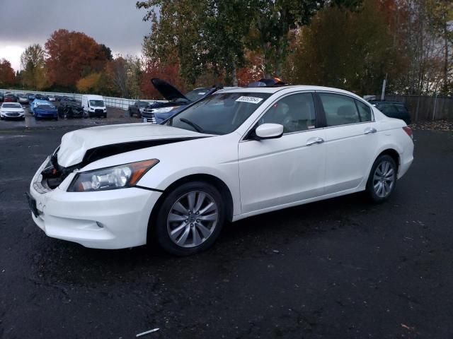 2011 Honda Accord EXL