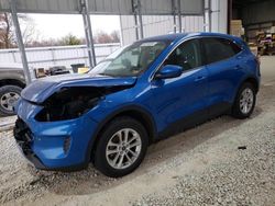 Ford Escape salvage cars for sale: 2020 Ford Escape SE