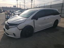 Honda Odyssey sp salvage cars for sale: 2024 Honda Odyssey Sport