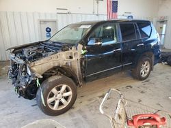 Lexus salvage cars for sale: 2015 Lexus GX 460