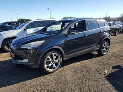 Ford Escape salvage cars for sale: 2015 Ford Escape Titanium