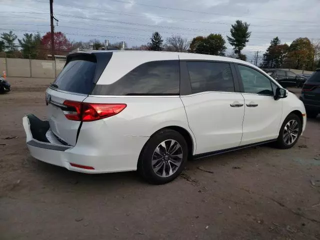 2024 Honda Odyssey EXL