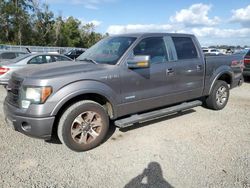 Salvage cars for sale from Copart Riverview, FL: 2013 Ford F150 Supercrew