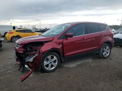 Salvage cars for sale at Indianapolis, IN auction: 2015 Ford Escape SE