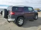 2007 Toyota FJ Cruiser