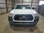 2023 Toyota Tacoma Access Cab