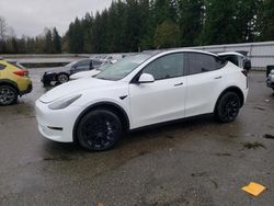 Salvage cars for sale at Arlington, WA auction: 2023 Tesla Model Y