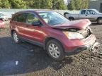 2007 Honda CR-V EX