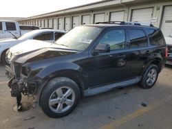 Ford salvage cars for sale: 2011 Ford Escape Limited