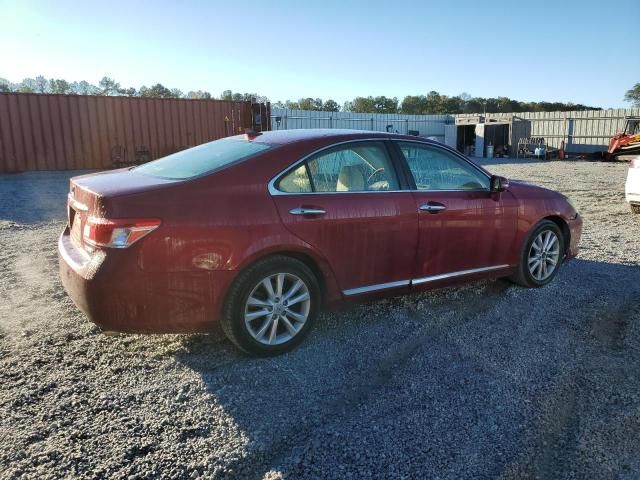 2010 Lexus ES 350