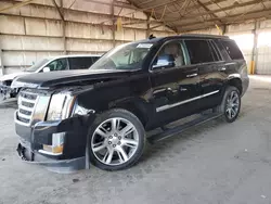 Cadillac Vehiculos salvage en venta: 2016 Cadillac Escalade Premium