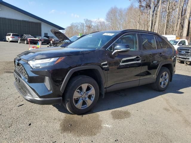 2024 Toyota Rav4 XLE