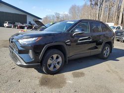 Toyota salvage cars for sale: 2024 Toyota Rav4 XLE