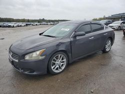 Vehiculos salvage en venta de Copart Memphis, TN: 2010 Nissan Maxima S