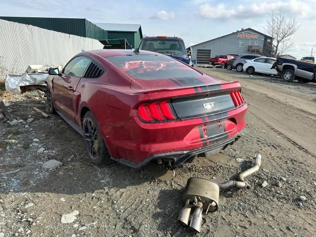 2020 Ford Mustang GT