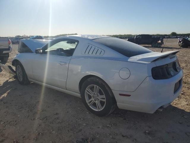 2014 Ford Mustang