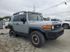 2013 Toyota FJ Cruiser