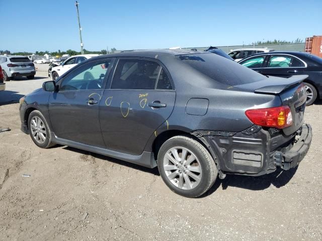 2010 Toyota Corolla Base