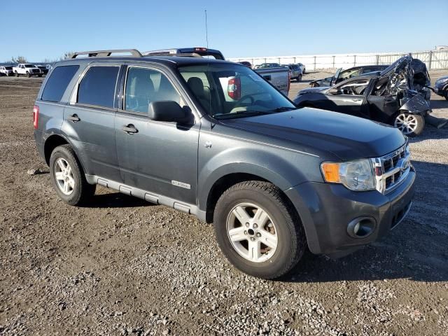 2008 Ford Escape HEV