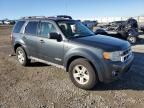 2008 Ford Escape HEV