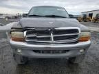 2004 Dodge Dakota SLT