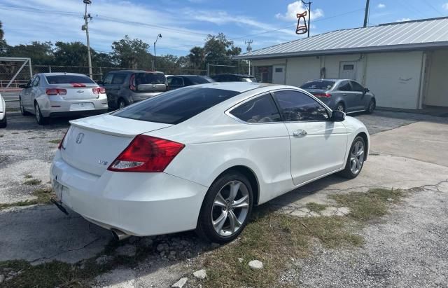 2011 Honda Accord EXL