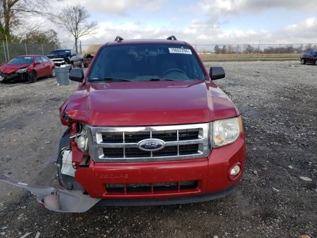 2011 Ford Escape XLT