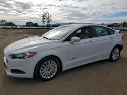 Ford Vehiculos salvage en venta: 2014 Ford Fusion SE Hybrid