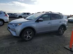 Salvage cars for sale at Antelope, CA auction: 2017 Toyota Rav4 XLE