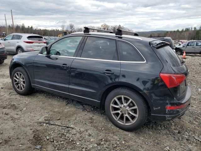 2010 Audi Q5 Premium Plus